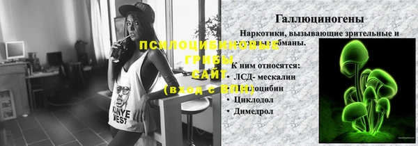 дживик Балахна