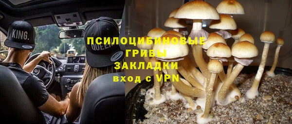 дживик Балахна